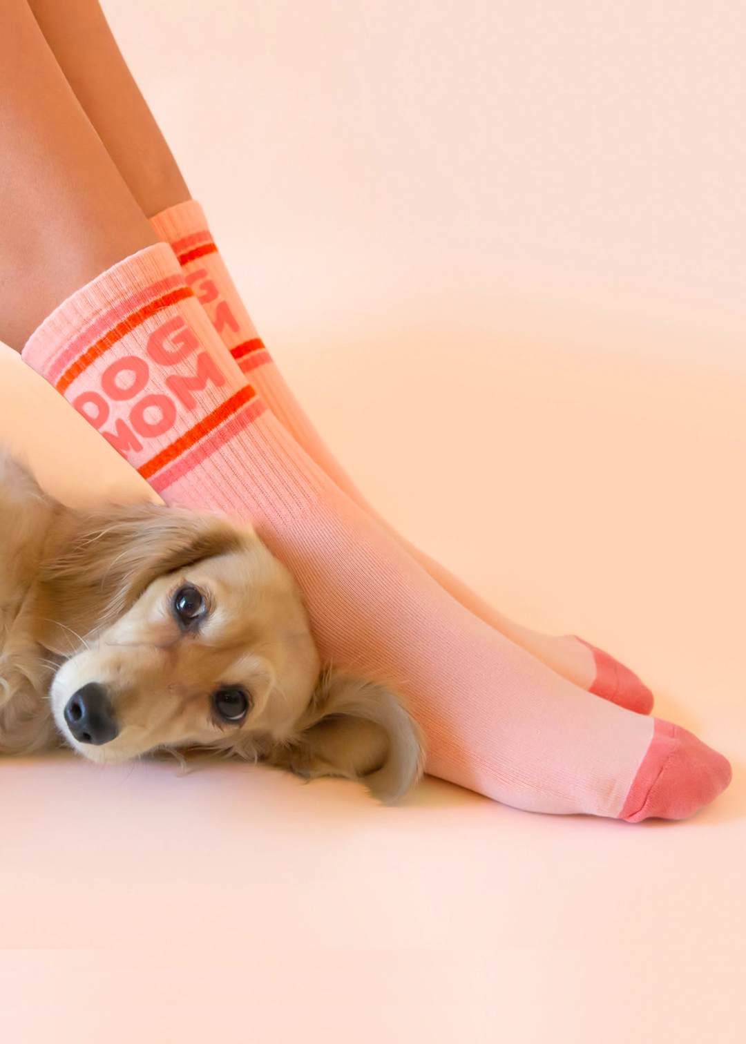 Pink ribbed crew socks with orange stripes and "Dog Mom" lettering with a dog laying next to her