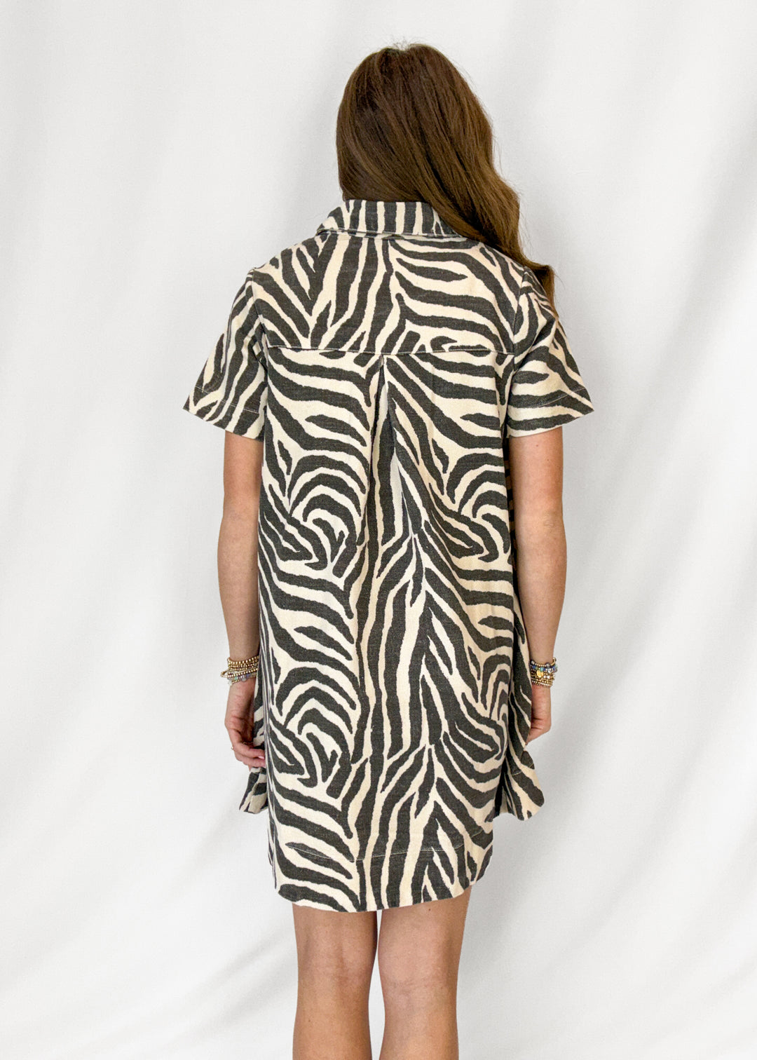 Andi Zebra Print Mini Dress