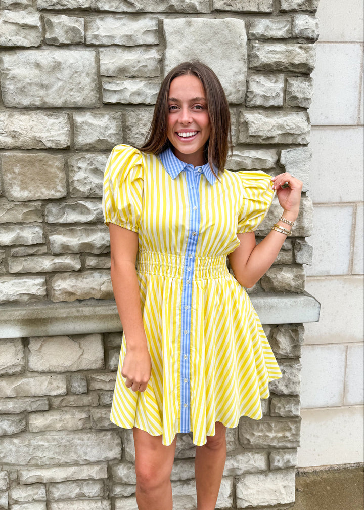Lettie Striped Mini Dress