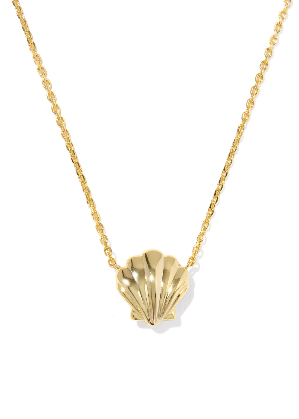 Gold necklace with a gold shell shaped pendant on a white background