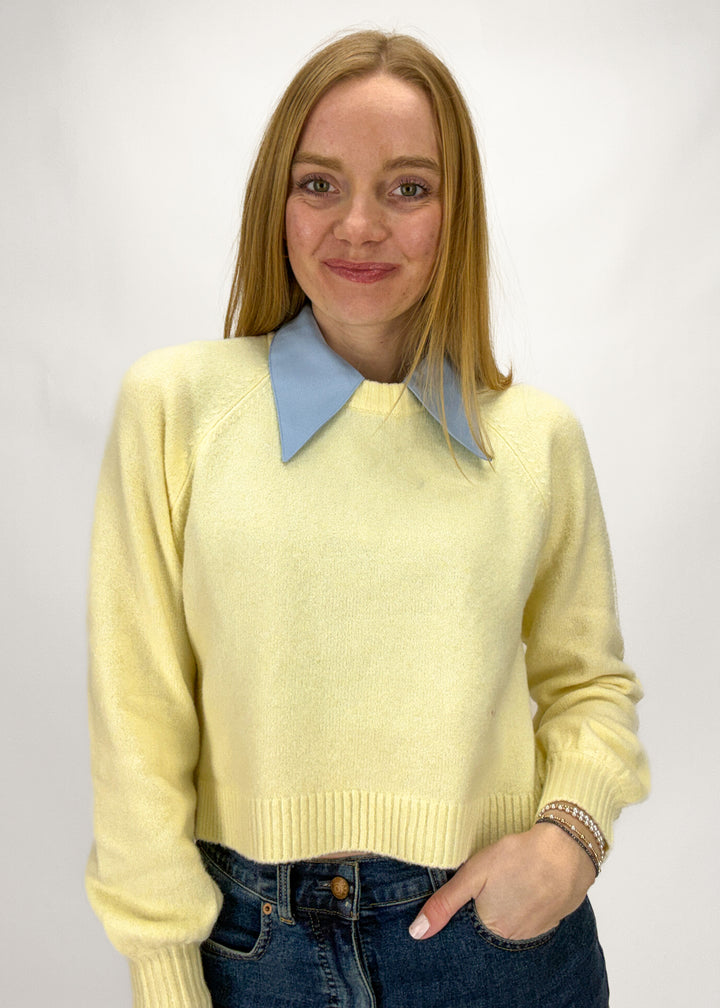 Person wearing a chambray layering dickey