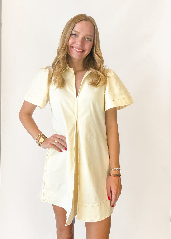 Penny Pleated Mini Dress