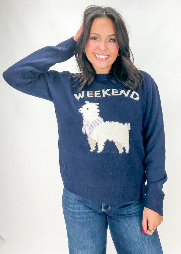 Macie Alpaca Sweater